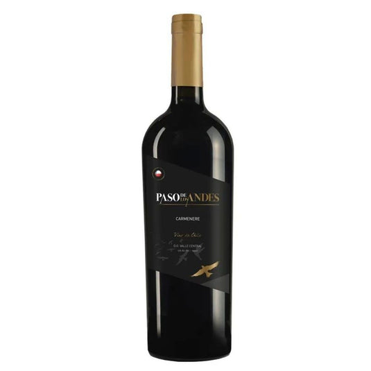 Vinho Paso Los Andes Carmenére 750ml