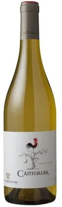 Vinho Roncier Branco 750ml