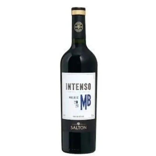 Vinho Fino Tinto Seco Salton Intenso Malbec 750ml