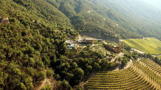 Clos Apalta: o vinho chileno que conquistou primeiro lugar no Top 100 da Wine Spectator.