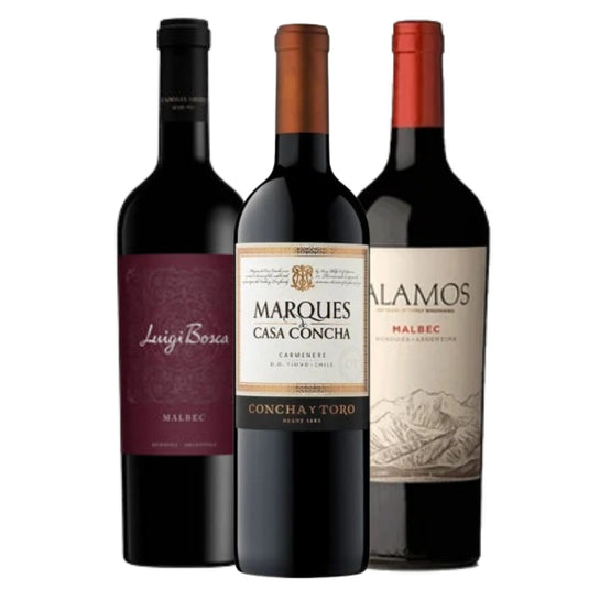 Combo Vinho Premium
