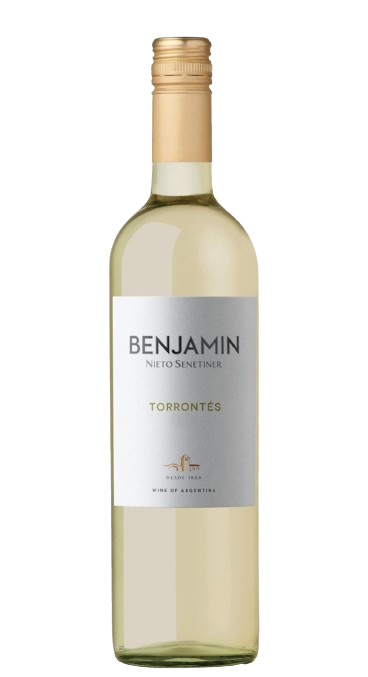Vinho Benjamin Nieto Torrontes 750ml